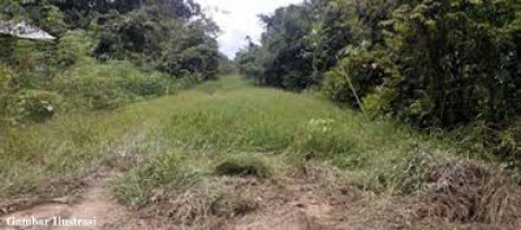 Akses Jalan Pertanian Desa Taba Padang Akan Dibuka