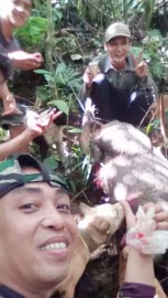 Bantu Petani Basmi Hama, Warga Galakkan Berburu Babi
