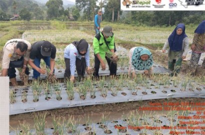 Petani Ucapkan Terimakasih Pada Dinas Pertanian Muratara