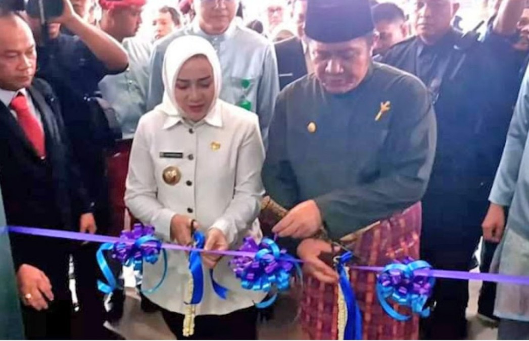 Gubernur Sumsel Resmikan RS Pangeran Moehammad Amin