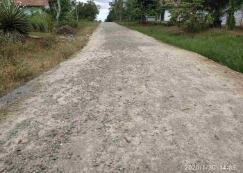 Semen Rigid Beton Desa Trikarya Mulai Mengelupas