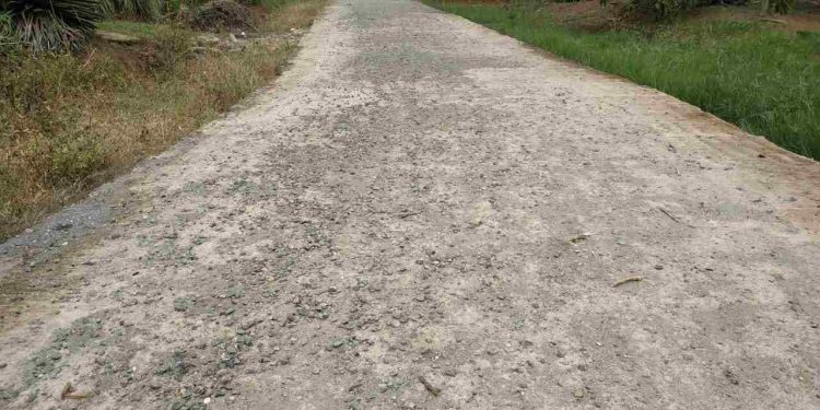 Semen Rigid Beton Desa Trikarya Mulai Mengelupas