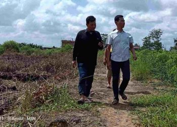 Menyulap Lahan Gambut Jadi Kebun Cabai