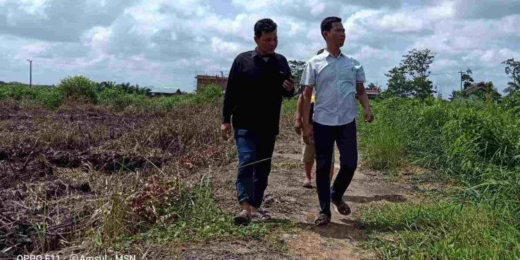 Menyulap Lahan Gambut Jadi Kebun Cabai