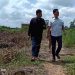 Menyulap Lahan Gambut Jadi Kebun Cabai