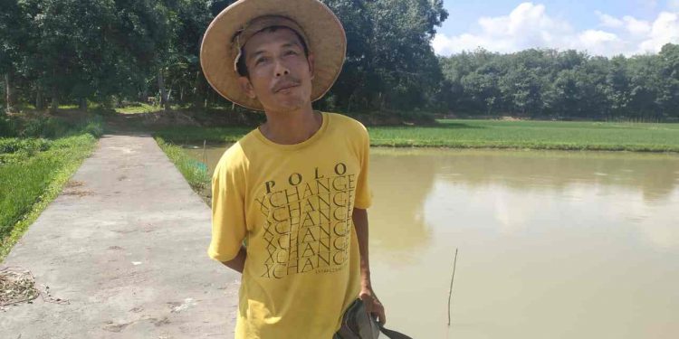 Petani Keluhkan Debit Irigasi
