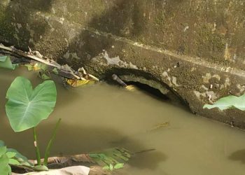 Warga Keluhkan Gorong-Gorong Tersumbat