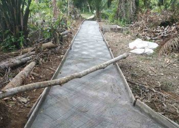 Terima Kasih Pak Kades Sukamerindu