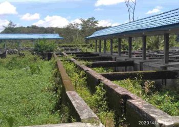 Kolam Air Deras di Desa Belumai 1 Tidak Berfungsi