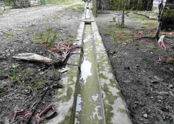 Warga Keluhkan Siring Mampet