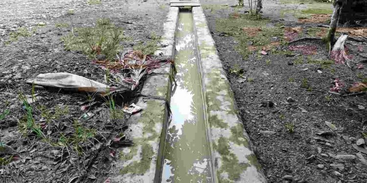 Warga Keluhkan Siring Mampet