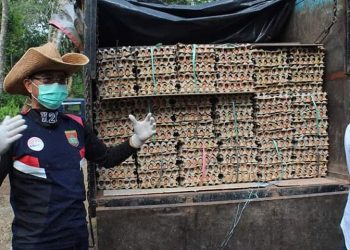 Hari ini Paket Sembako Putaran Ke-2 Digelontorkan