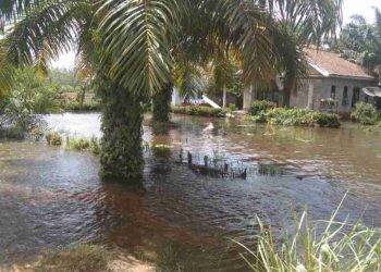 Rumah Warga Terendam Banjir 