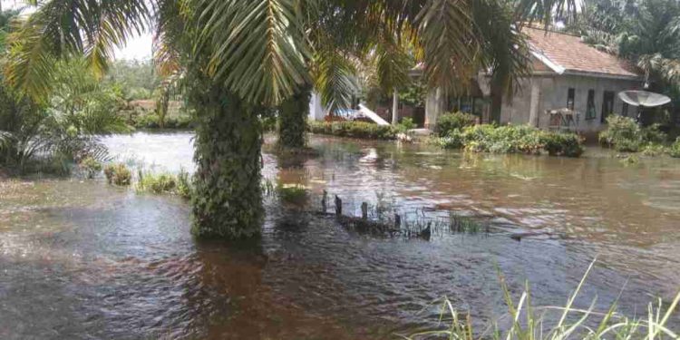 Rumah Warga Terendam Banjir