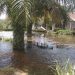 Rumah Warga Terendam Banjir 
