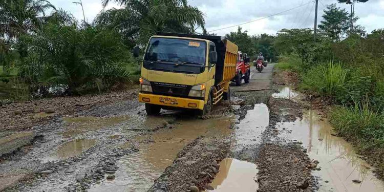 Jalan Penghubung Desa Rusak Parah