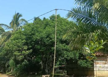 Desa Madang Butuh Tiang Listrik