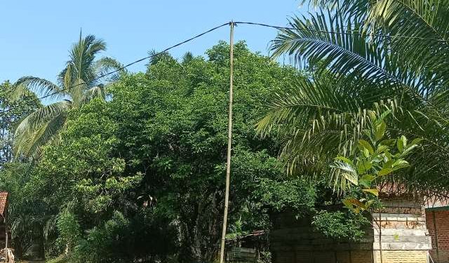 Desa Madang Butuh Tiang Listrik