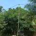Desa Madang Butuh Tiang Listrik