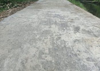 Belum Lama Dibangun, Jalan Setapak Mulai Mengelupas