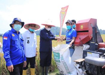 Hasil Panen di Bukit Langkap Meningkat