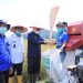 Hasil Panen di Bukit Langkap Meningkat