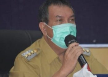 Kecamatan Megang Sakti Bakal Dapat Program 1000 Ternak Sapi