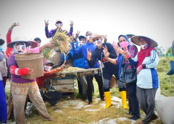 H2G Siap Tingkatkan Surplus Beras di Mura