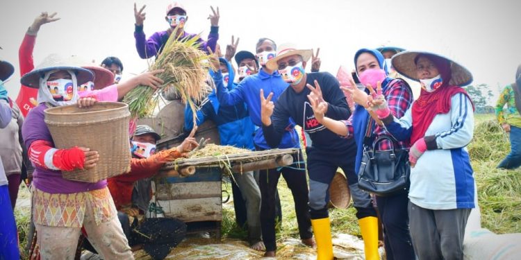 H2G Siap Tingkatkan Surplus Beras di Mura