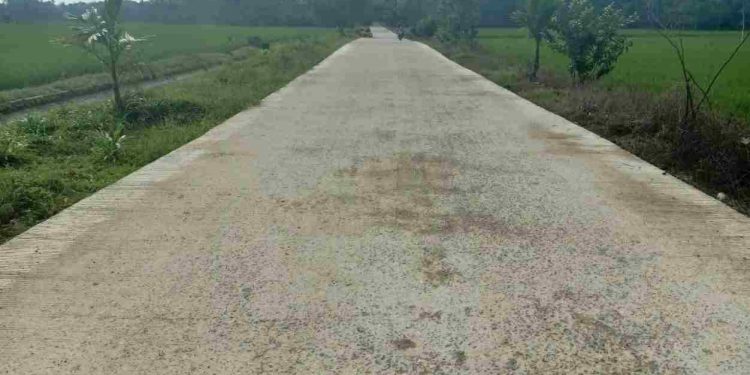 Belum Lama Dibangun, Jalan di Desa Karyadadi Mulai Rusak