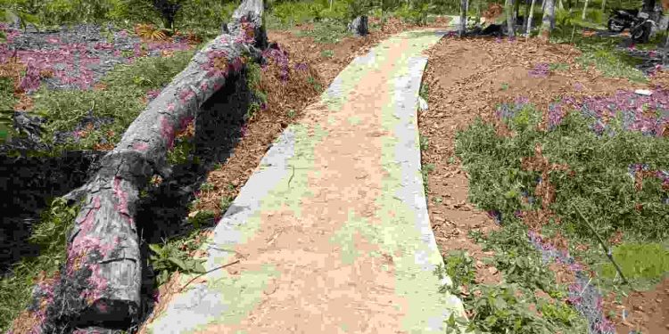 Hitungan Bulan JUT Taba Baru Sudah Rusak