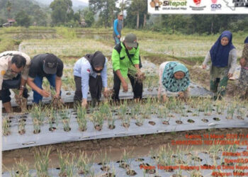 Petani Ucapkan Terimakasih Pada Dinas Pertanian Muratara