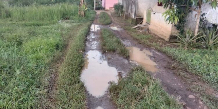 Warga Berharap Perbaikan Jalan