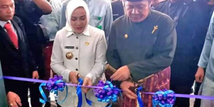 Gubernur Sumsel Resmikan RS Pangeran Moehammad Amin