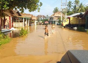 Camat Selangit dan BPBD Tinjau Lokasi Banjir