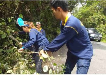 Hari Bakti PU ke 78, Dinas PU di Musirawas Galakkan Kegiatan Gotong Royong