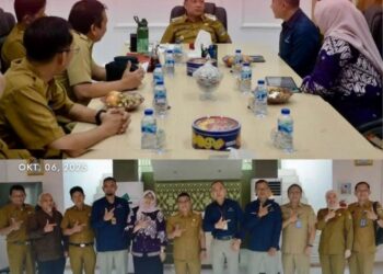 H. Devi Suhartoni Apresiasi BPS Sumsel Atas Pendataan Yang Akurat Dan Kinerja Nyata Bagi Daerah